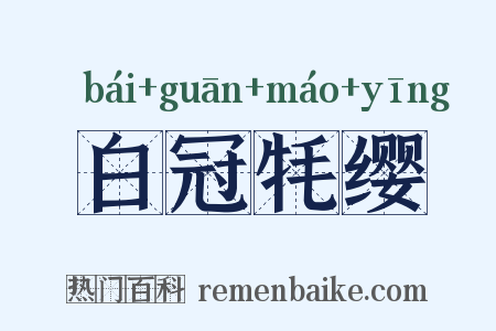 白冠牦缨是什么意思的图片